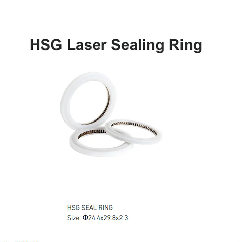 Anillo de sellado láser HSG D24.4