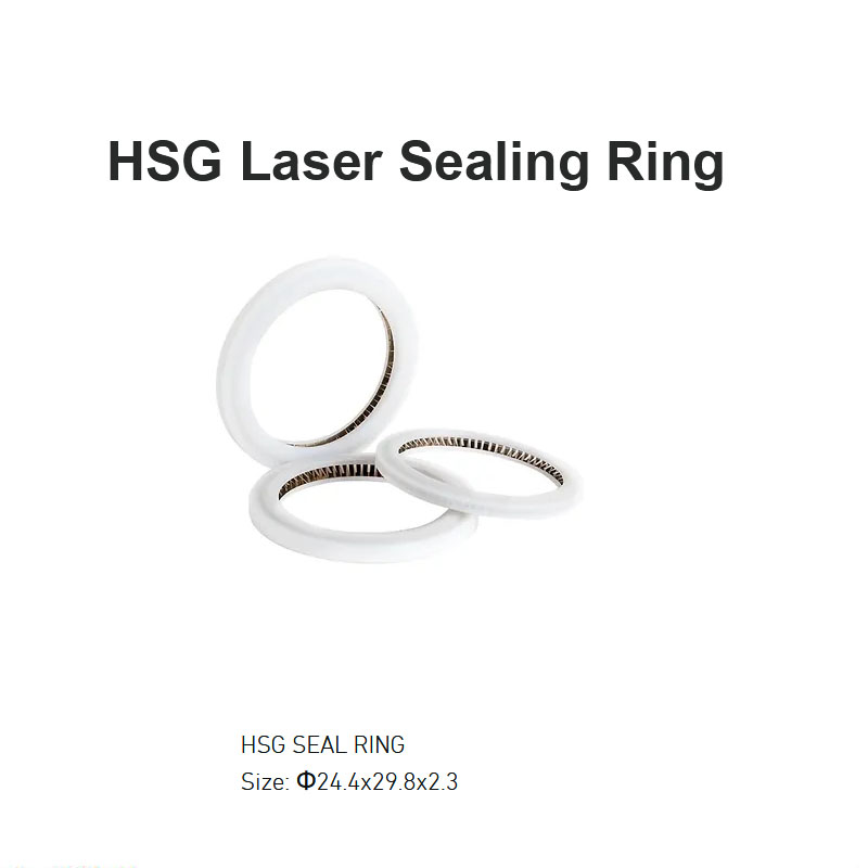 Anillo de sellado láser HSG D24.4