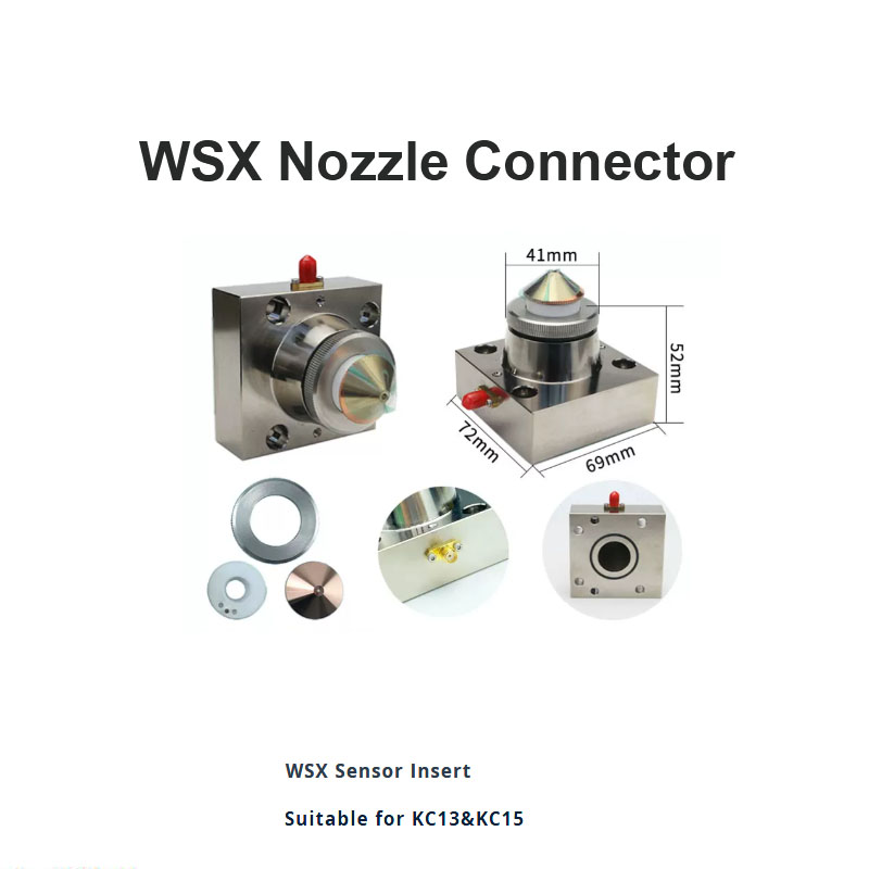 Inserto del sensor WSX