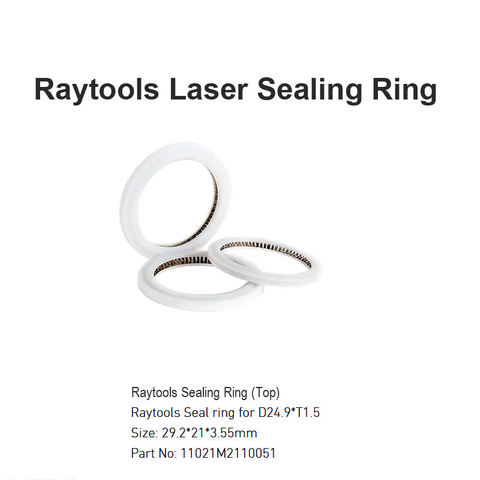 Anillo de sellado láser Raytools D29.2
