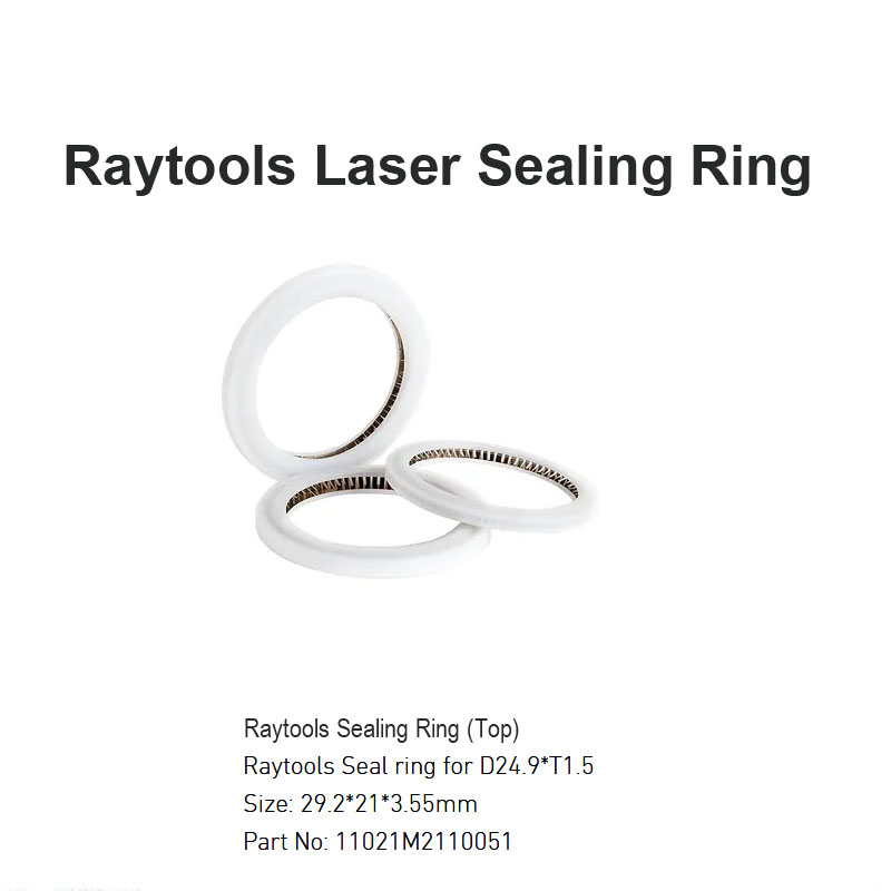 Anillo de sellado láser Raytools D29.2